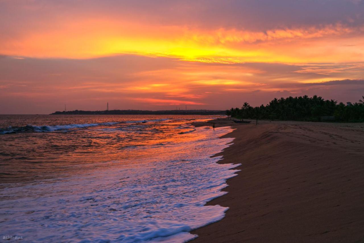 Neem Jay Beach Resort Tangalle Extérieur photo