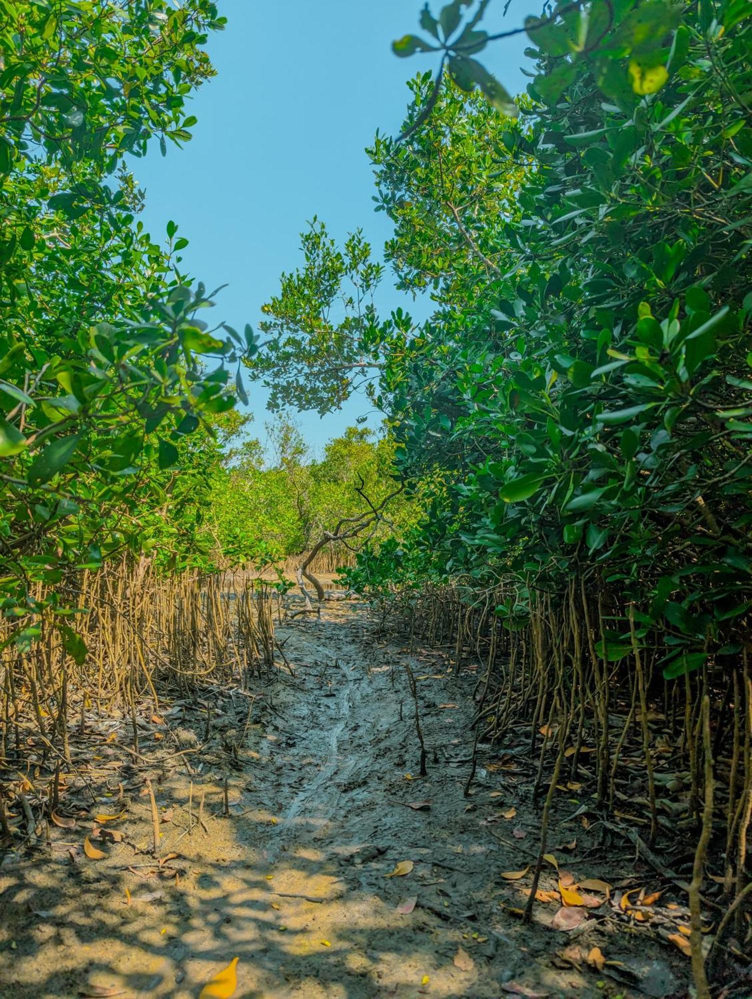 Neem Jay Beach Resort Tangalle Extérieur photo